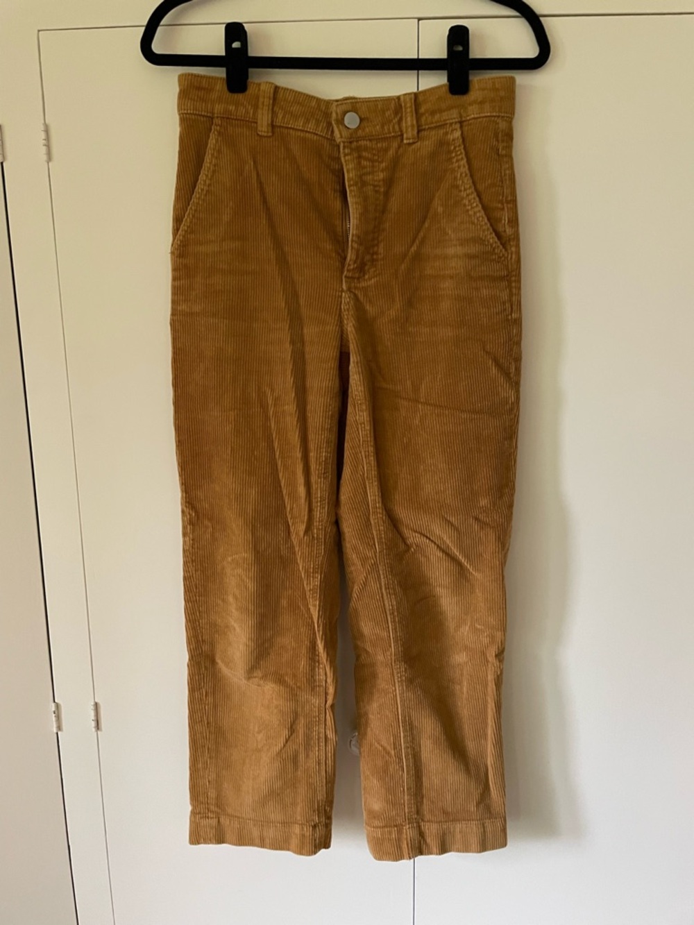 Everlane The Corduroy Straight-Leg Crop Pants in Camel